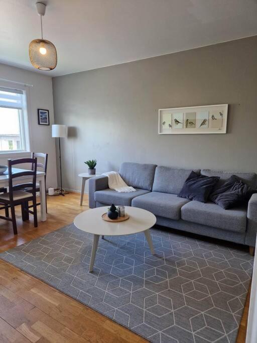 Apartment In Downtown Рейкьявик Экстерьер фото